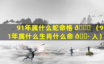 91年属什么蛇命格 🐒 （91年属什么生肖什么命 🌷 人）